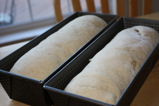 Maple Oat Bread with Cinnamon Swirl Maple Oat Bread with Cinnamon Swirl
