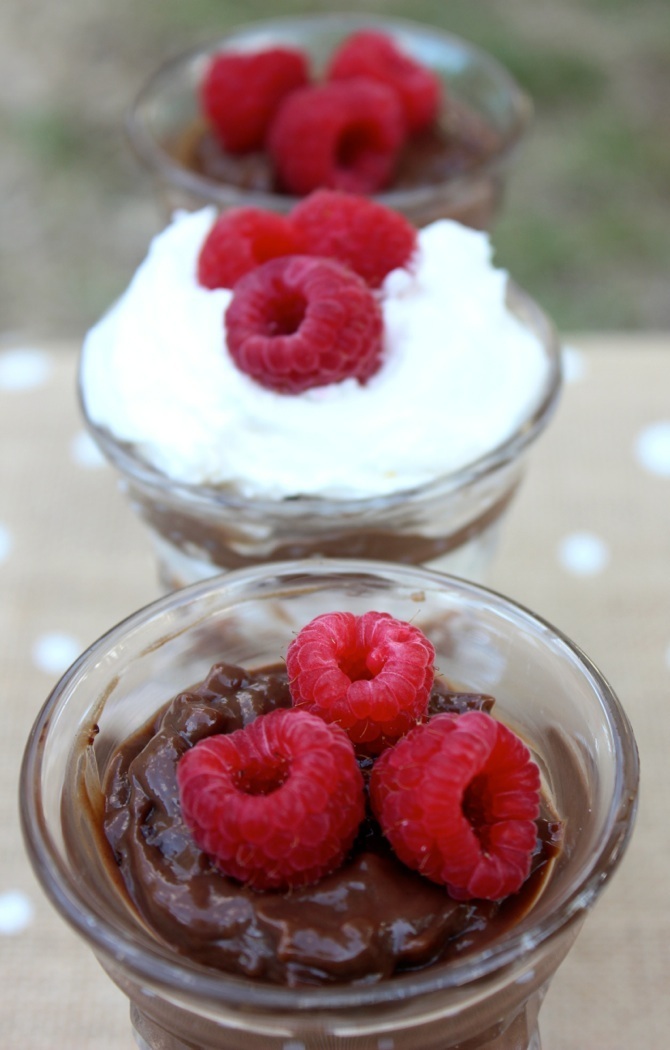 Dairy Free Chocolate Pudding The Happy Housewife Cooking