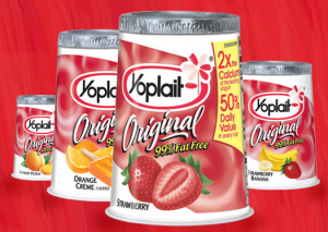 Picture 14 300x213 Free Yoplait Yogurt!