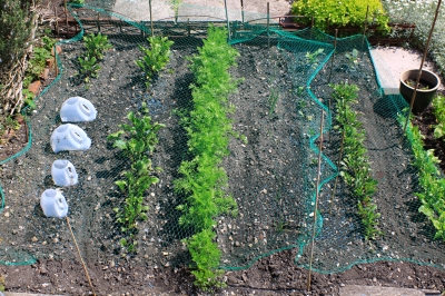 How to Go Green and Save Money - The Happy Housewife™ :: Frugal Living