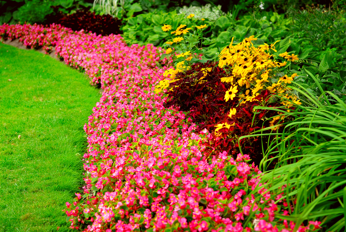 Perennial Flower Bed Design Ideas