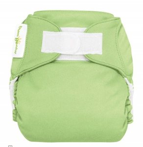 Screen shot 2011 01 26 at 12.07.04 PM 292x300 bumGenius Cloth Diaper Giveaway: Bloggy Birthday