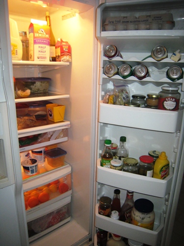 refrigeratorOrganizetheRefrigerator