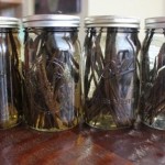 homemade-vanilla
