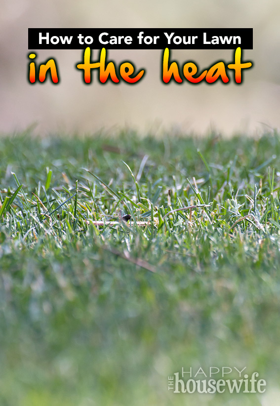 How to Care for Your Lawn in the Heat The Happy Housewife™ Home