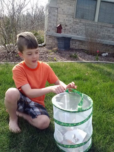 releasing butterflies