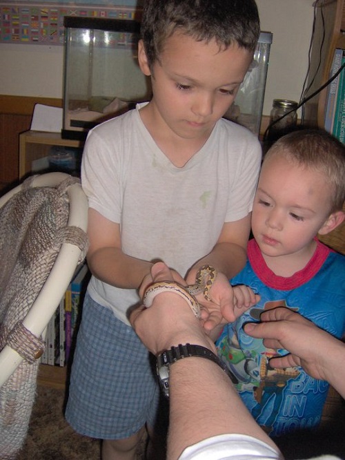 boys with snake boys with snake