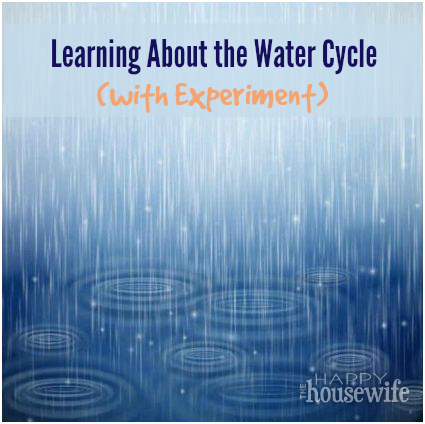 Learning About the Water Cycle (with Experiment) | The Happy Housewife Learning About the Water Cycle (with Experiment) | The Happy Housewife