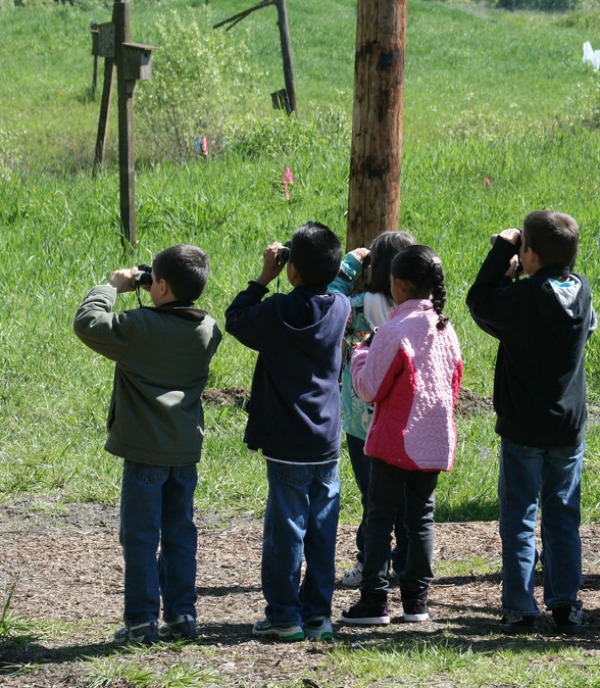 Identifying Bird Calls - The Happy Housewife™ :: Home Schooling