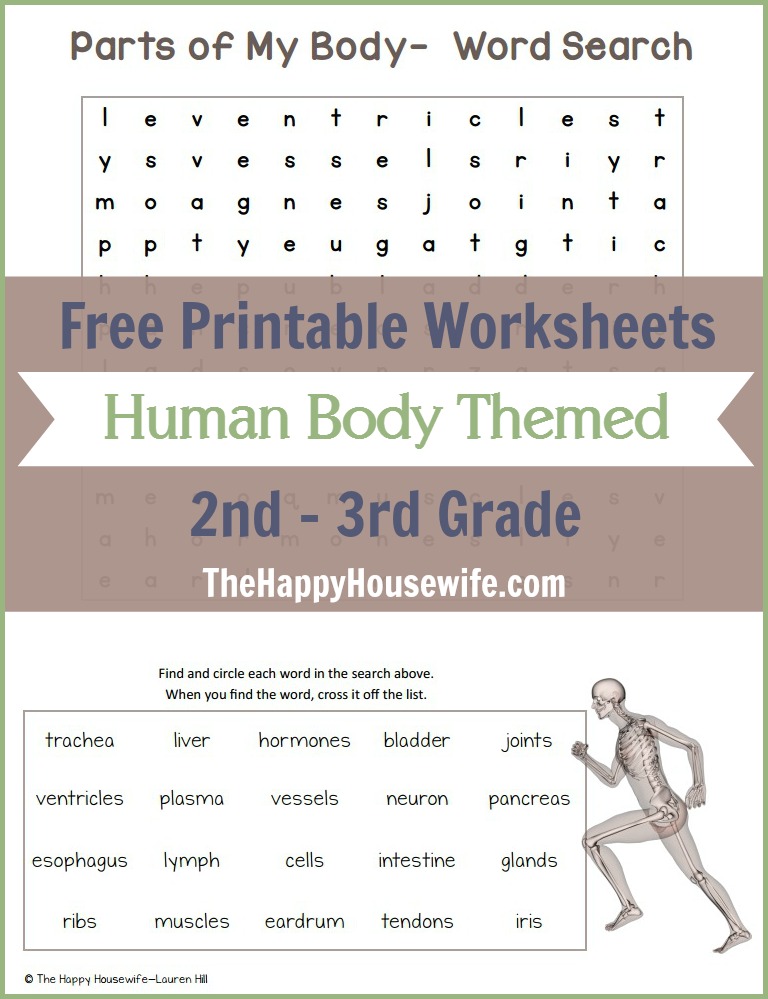 Human Body Themed Worksheets: Free Printables - The Happy ...