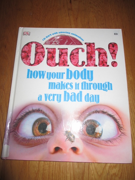 Learning About Human Anatomy (with 10 Kids) at The Happy Housewife Learning About Human Anatomy (with 10 Kids) at The Happy Housewife