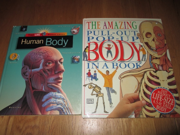 Learning About Human Anatomy (with 10 Kids) at The Happy Housewife Learning About Human Anatomy (with 10 Kids) at The Happy Housewife