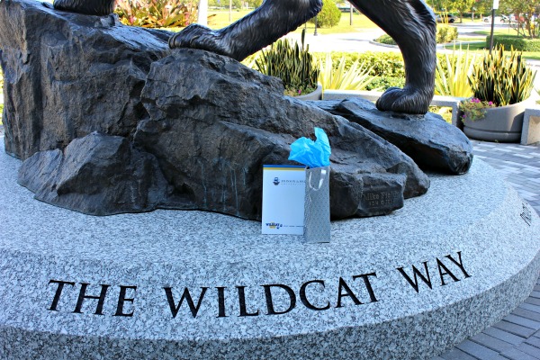 jwu-wildcat