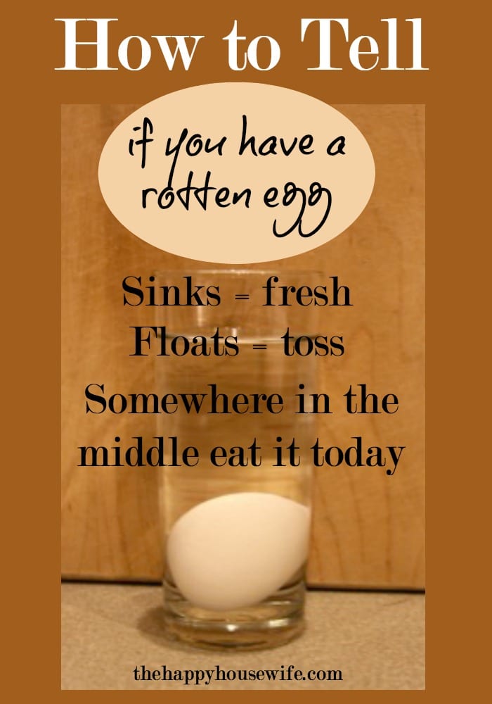 How To Tell If You Have A Rotten Egg The Happy Housewife
