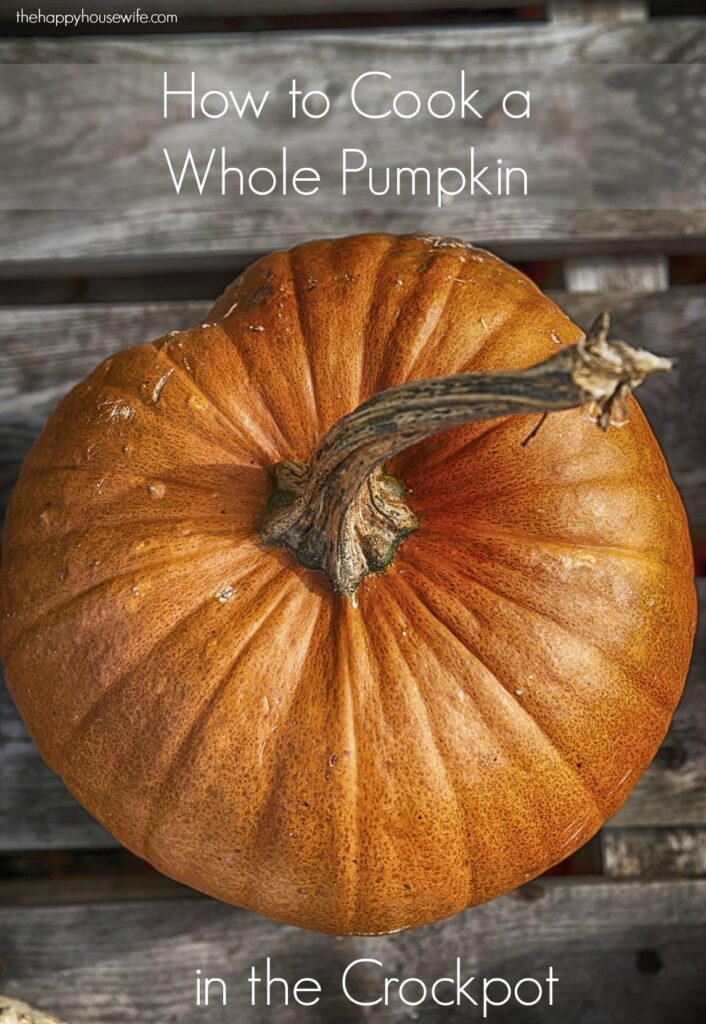 It is easy to cook a fresh pumpkin and it tastes so much better than the canned pumpkin you buy at the grocery store. I usually cook mine in the crock pot and then freeze the extra for later.