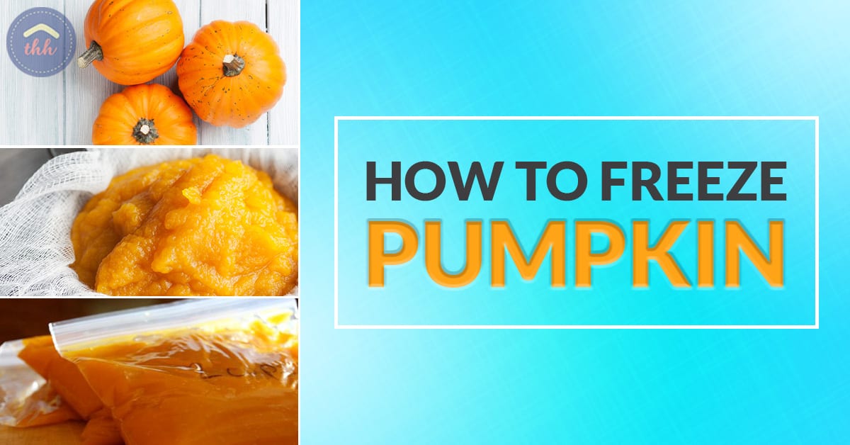 Can You Freeze Pumpkin? - The Happy Housewife™ :: Cooking