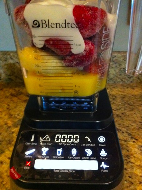 blendtec blender cheap