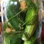 Homemade Dill Pickles