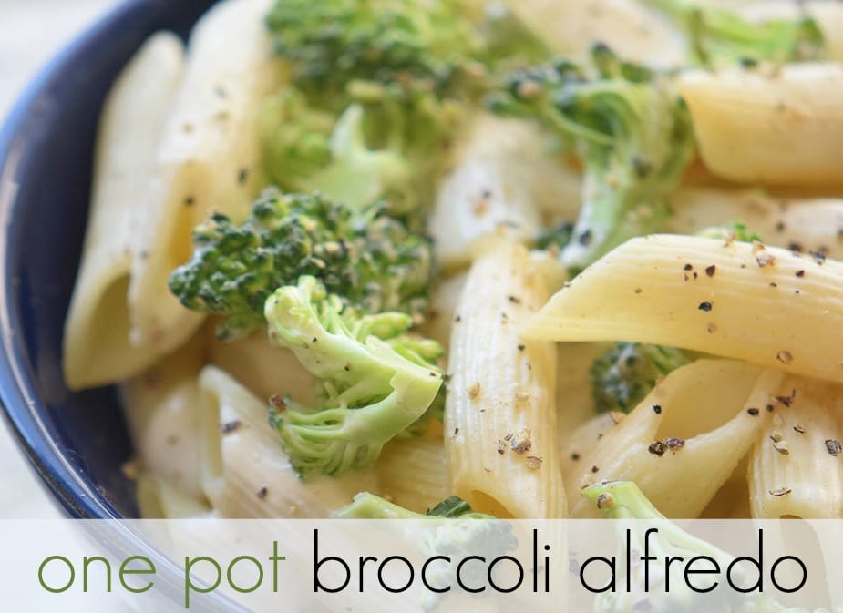 This One Pot Broccoli Alfredo Pasta is an easy, creamy stove top dish that's perfect for a busy weeknight. Serve it as a delicious side dish or a vegetarian main dish. 