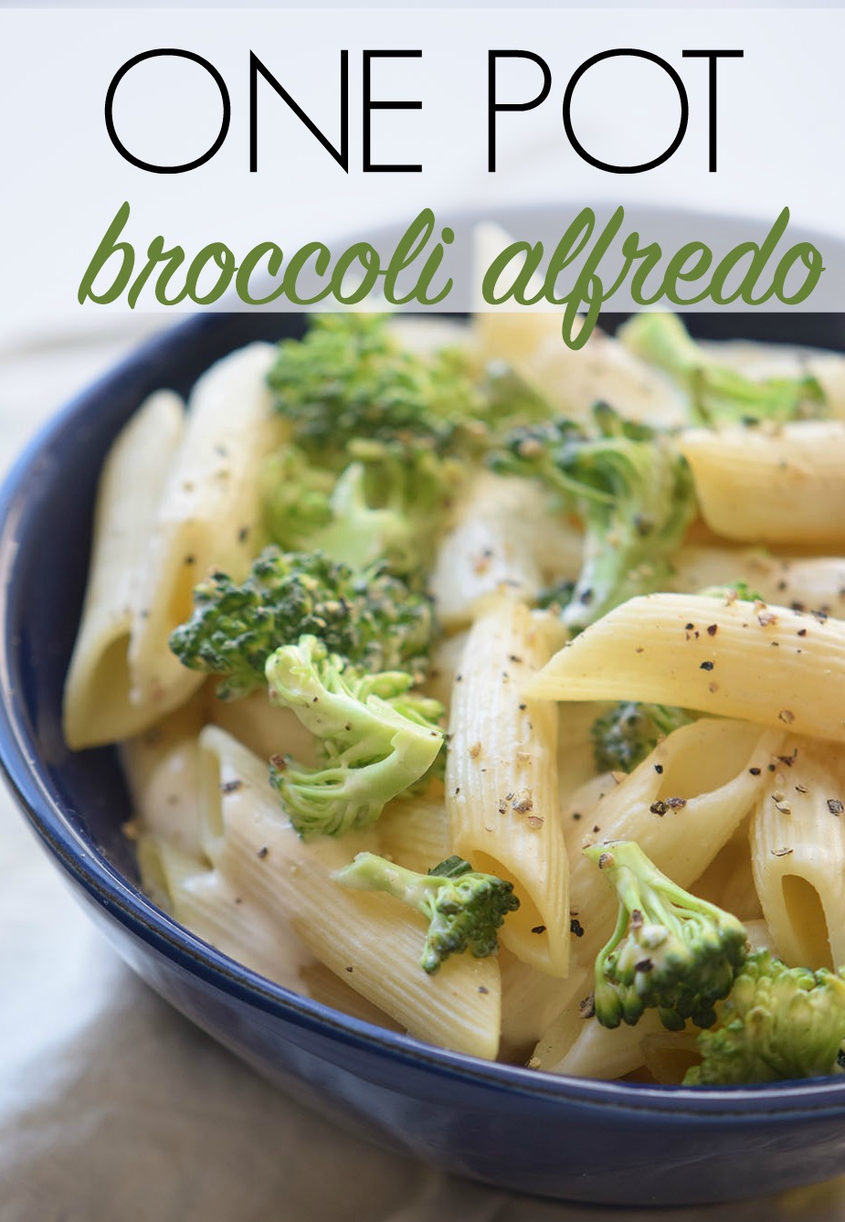 This One Pot Broccoli Alfredo Pasta is an easy, creamy stove top dish that's perfect for a busy weeknight. Serve it as a delicious side dish or a vegetarian main dish. 