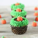 Fall cupcakes with a pumpkin theme. Easy to make!