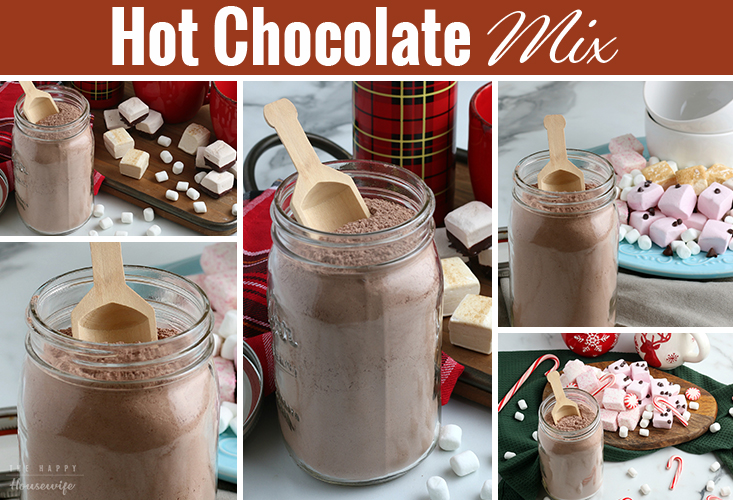 Homemade hot chocolate mix. 