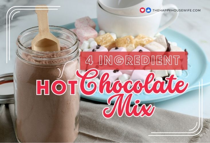 4 ingredient hot chocolate mix