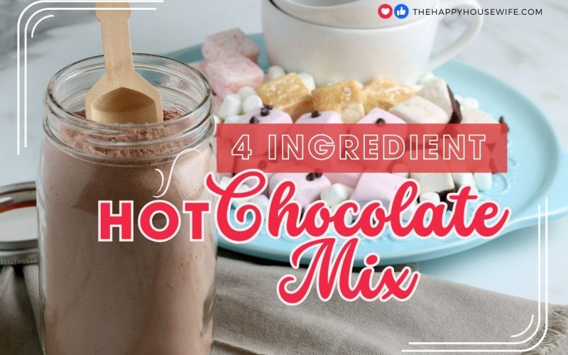 4 Ingredient Hot Chocolate Mix