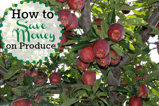 how to save money on produce