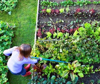 Gardening Roundup - The Happy Housewife™ :: Frugal Living