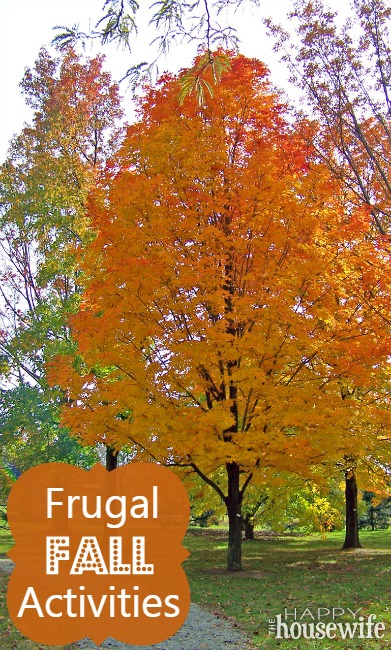 Frugal_Fall_Activities