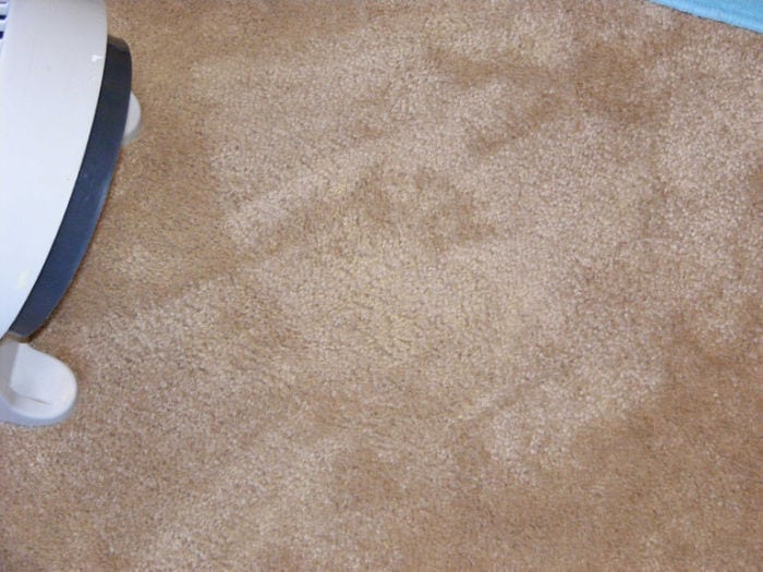 how to get paint out of carpet 