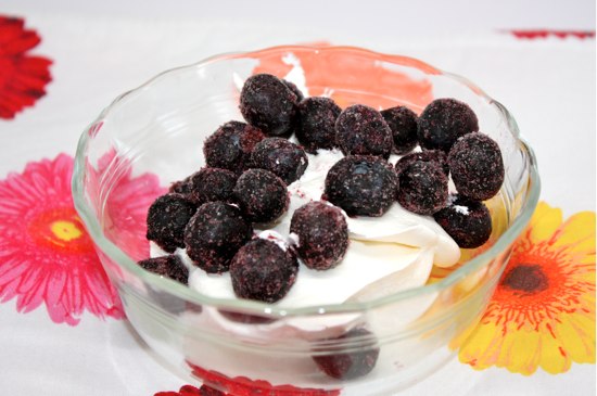 frozen berry dessert