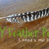 Feather Pen