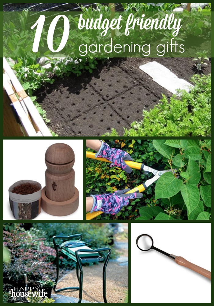 top 10 budget friendly gardening gifts