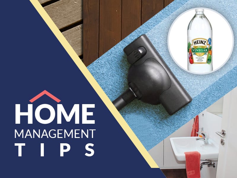 Image result for home management