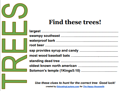 Tree Scavenger Hunt