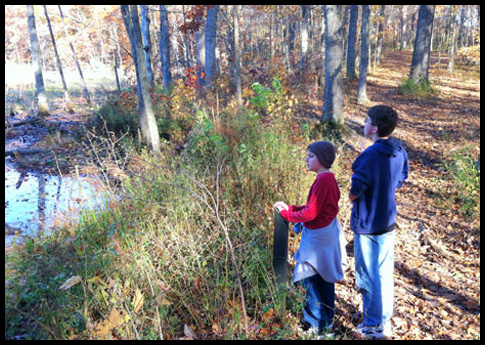 Learning Opportunities with Camping