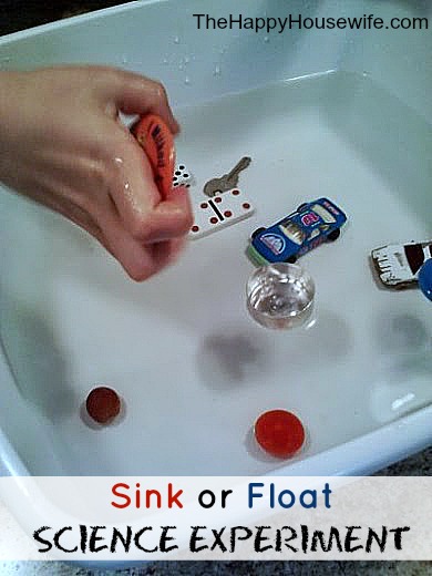 Sink Or Float Science Experiment The Happy Housewife