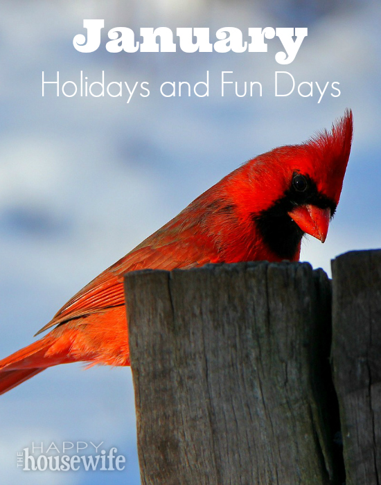 Ways to enjoy January holidays and fun days with your kids - The Happy Housewife