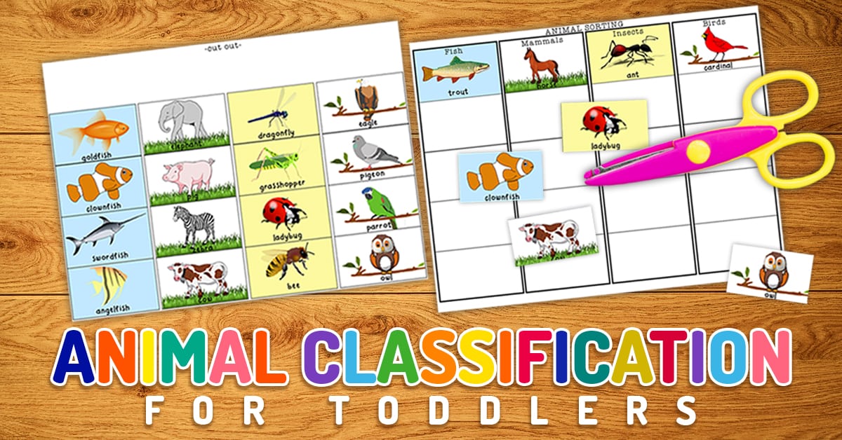 animal-classification-printable-the-happy-housewife-home-schooling