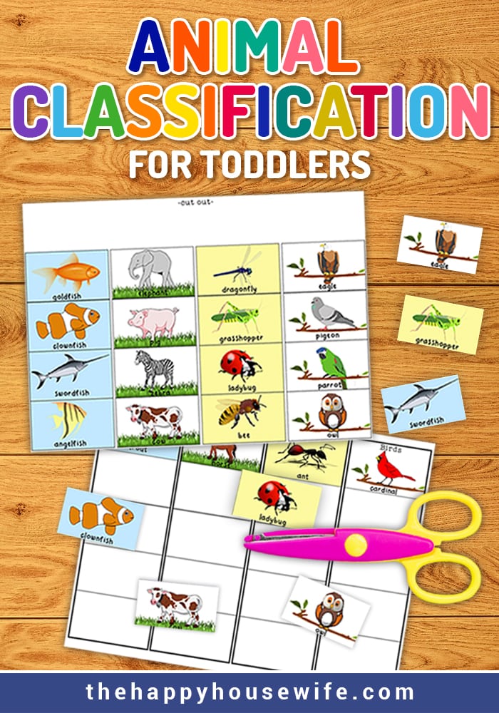 animal classifcation worksheet for toddlers