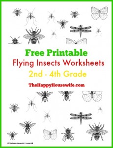 Flying Insects Worksheets: Free Printables - The Happy Housewife