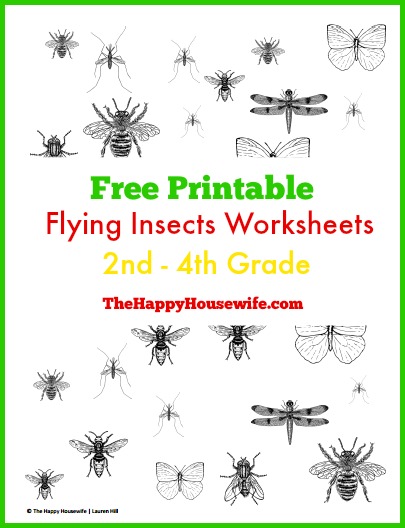 Flying Insects Worksheets: Free Printables | The Happy Housewife