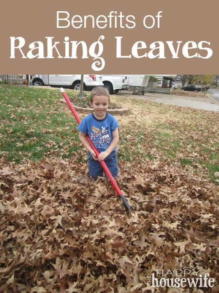 Benefits of Raking Leaves - The Happy Housewife™ :: Home Schooling