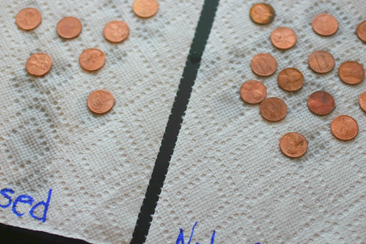 clean a dirty penny science experiment