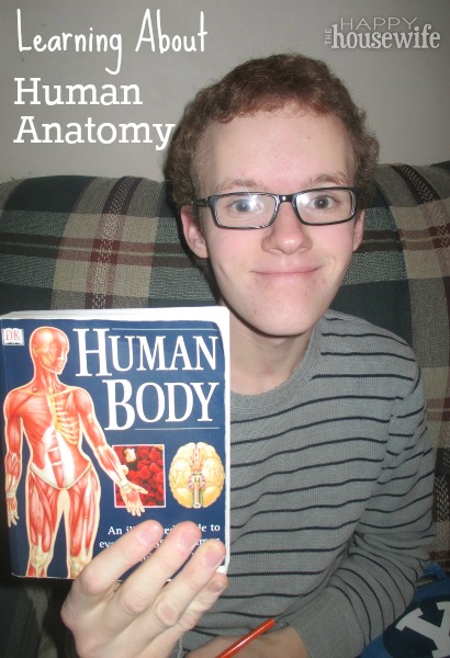 Learning About Human Anatomy (with 10 Kids) - The Happy Housewife ...