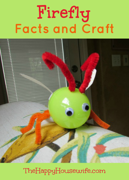 Firefly Facts and Craft at The Happy Housewife
