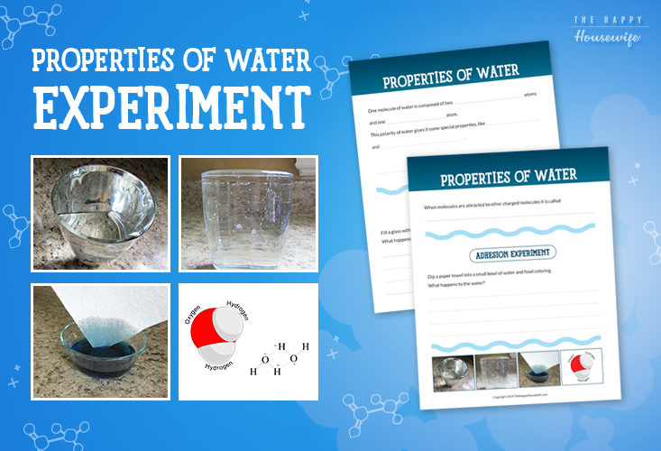 It seems that water is everywhere and in all facets of life. We drink it. We bathe in it. We play in it. We often take it for granted. Since water is everywhere, let's learn more about the properties of water and test them with a few simple experiments.