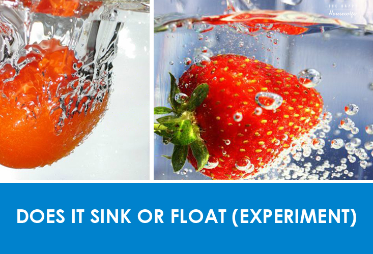Does This Food Sink Or Float Buoyancy Experiment The